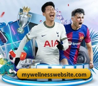 五大服务分区,信息按项目分类